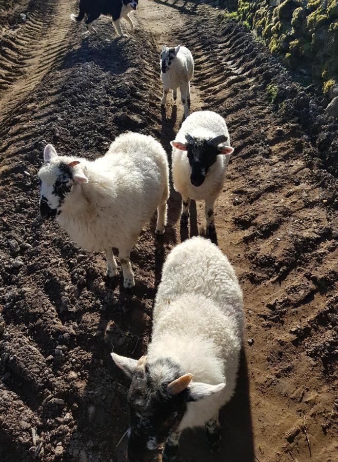 Shadow River Farm Anascaul Екстериор снимка